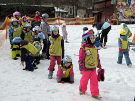 Fotografie img-1342_original.jpeg