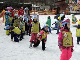 Fotografie img-1343_original.jpeg