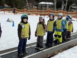 Fotografie img-1356_original.jpeg