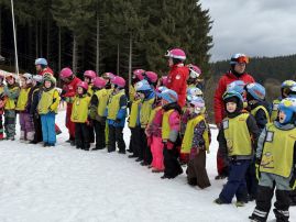 Fotografie img-1366_original.jpeg