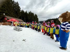 Fotografie img-1378_original.jpeg