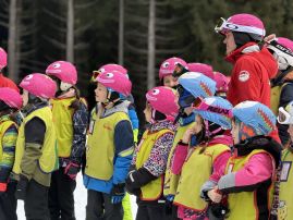 Fotografie img-1379_original.jpeg