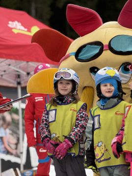 Fotografie img-1406_original.jpeg