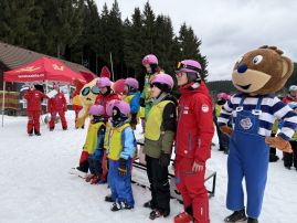 Fotografie img-1421_original.jpeg