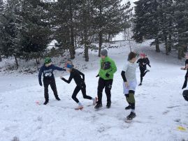 Fotografie img-1541_original.jpeg