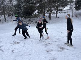 Fotografie img-1546_original.jpeg