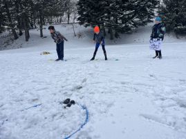 Fotografie img-8568_original.jpeg