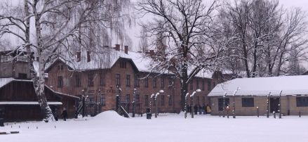 Fotografie img-20260217-081439_original.jpg