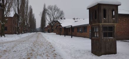 Fotografie img-20260217-081812_original.jpg