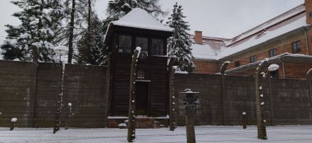 Fotografie img-20260217-0848001_original.jpg