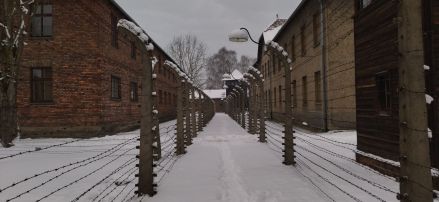 Fotografie img-20260217-0924011_original.jpg