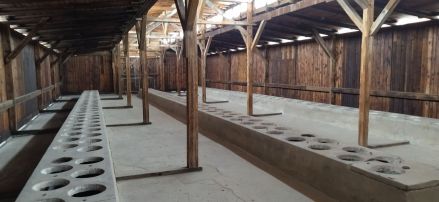 Fotografie img-20260217-1017071_original.jpg