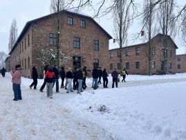 Fotografie img-4333_original.jpg