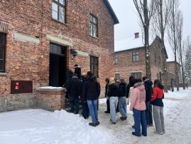 Fotografie img-4335_original.jpg