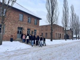 Fotografie img-4338_original.jpg