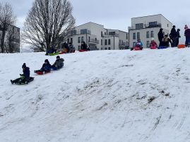 Fotografie img-4378_original.jpg