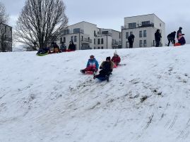 Fotografie img-4379_original.jpg