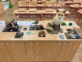 Fotografie img-1697_original.jpg