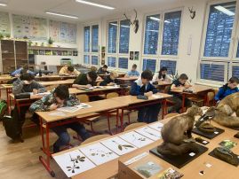 Fotografie img-1715_original.jpg