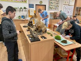 Fotografie img-1720_original.jpg