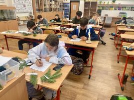 Fotografie img-1725_original.jpg