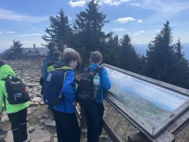Fotografie img-8441_original.jpg