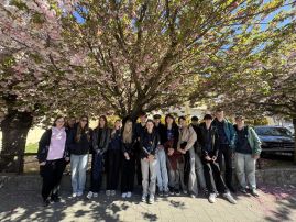 Fotografie img-3886_1_original.jpeg