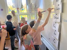 Fotografie img-7586_original.jpeg