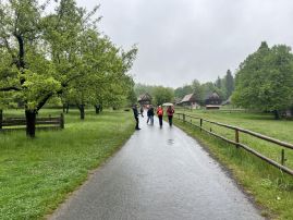 Fotografie img-5147_original.jpg