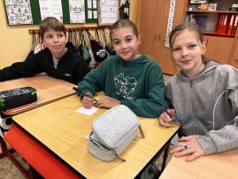 Fotografie img-3662_original.jpeg